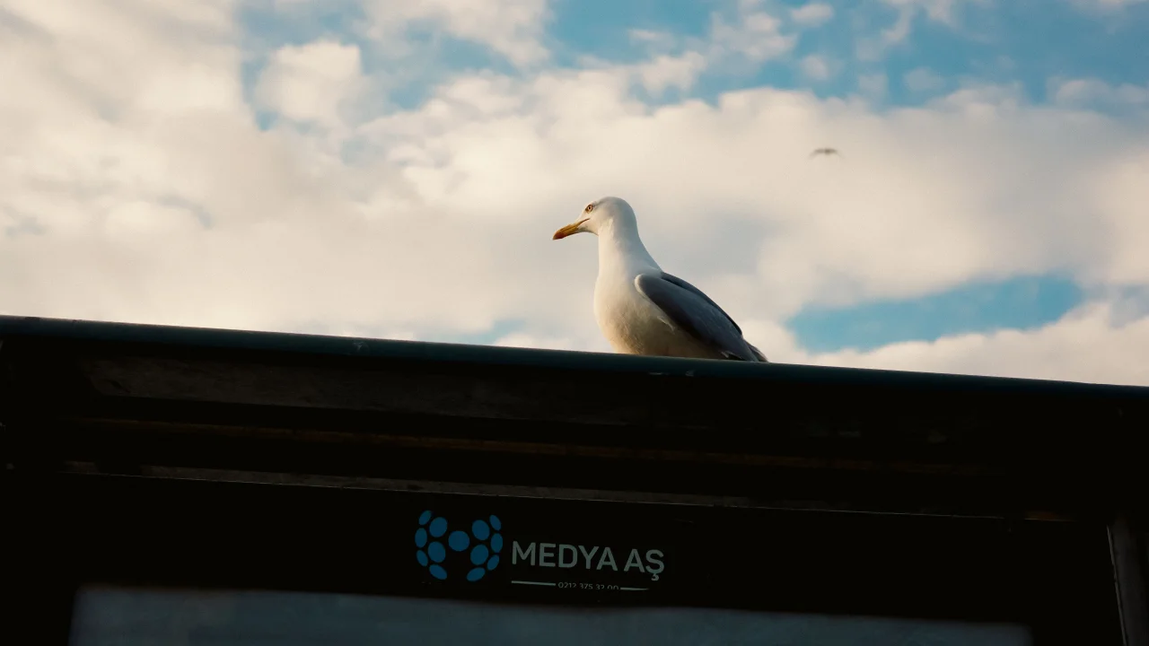 LRT'nin Geleceği ve Medya Mücadelesi