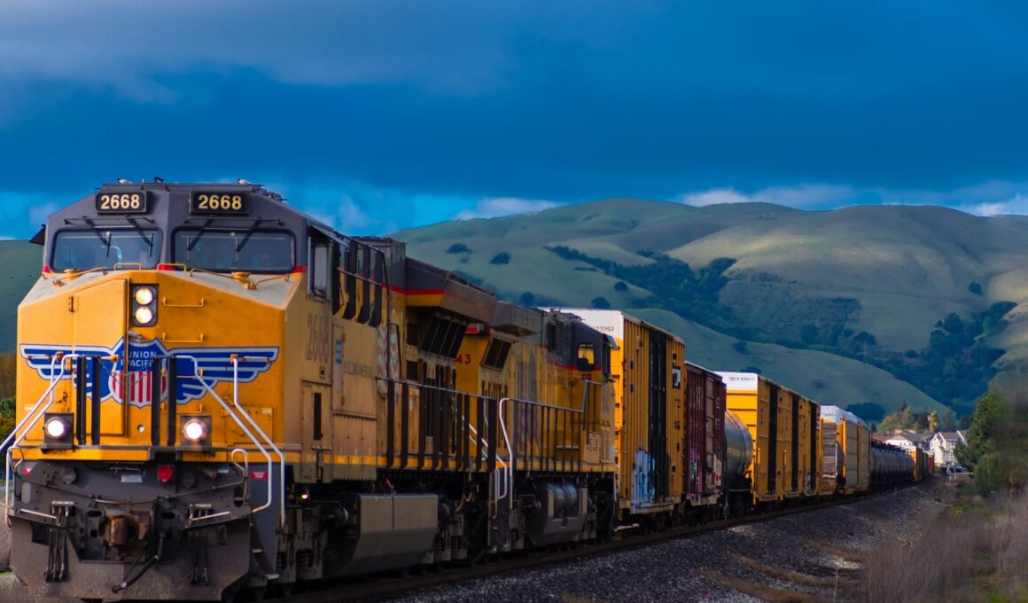yellow and black train near mountain